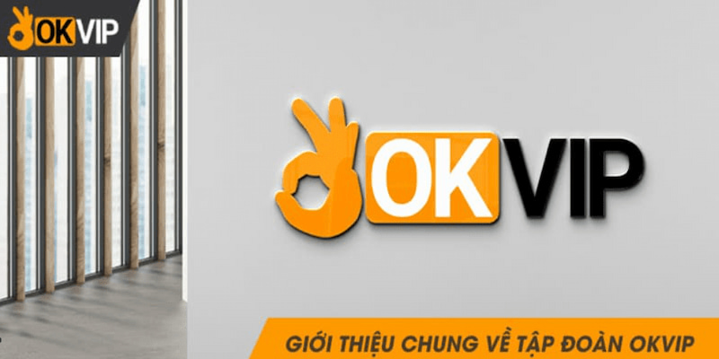 Giới thiệu khái quát chung về OKVIP