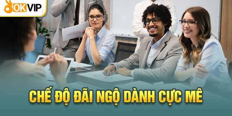 Okvip Tuyển Bình Luận Viên Bóng Đá Và Các Yêu Cầu Liên Quan 2 Okvip tuyển bình luận viên bóng đá bao trọn ăn ở