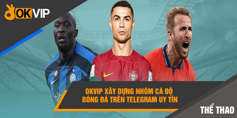 Nhóm Cá Độ Bóng Đá Telegram Okvip Uy Tín Số 1 Thị Trường 5 Okvip xây dựng nhóm cá độ bóng đá trên Telegram uy tín